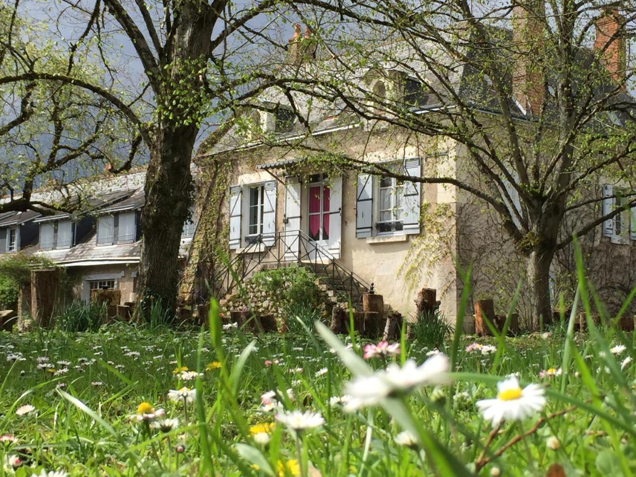 츄지수르세스 La Rossignolerie - La Familiale Vigneronne B&B 외부 사진